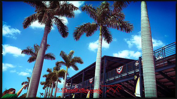 florida-march-2016-iphone-buildings-002
