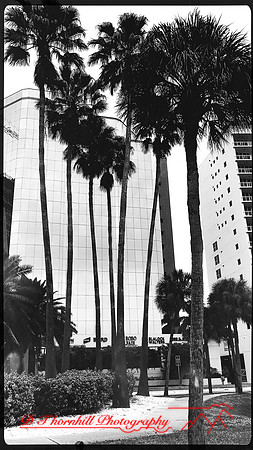 florida-march-2016-iphone-buildings-018