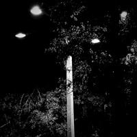FL-March 2018-006_DxO