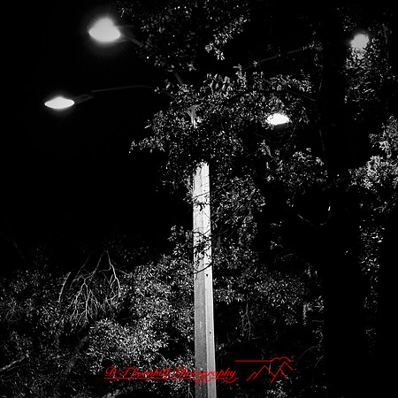 FL-March 2018-006_DxO