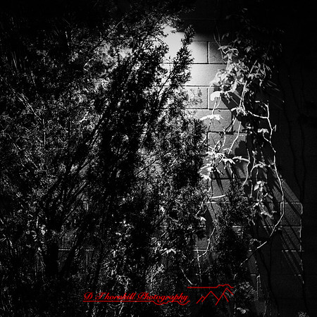 FL-March 2018-001