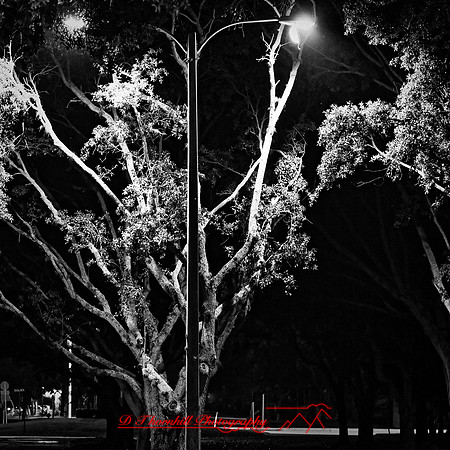 FL-March 2018-007-n-l-as_DxO