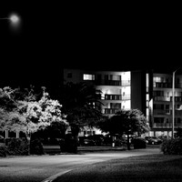 FL-March 2018-010_DxO