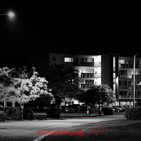FL-March 2018-010_DxO