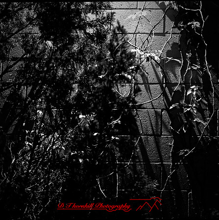 FL-March 2018-002_DxO