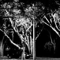FL-March 2018-005
