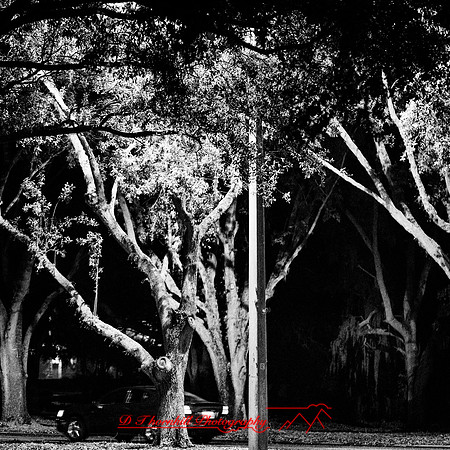 FL-March 2018-005
