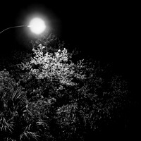 FL-March 2018-008_DxO