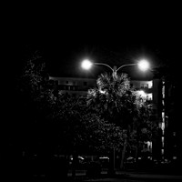 FL-March 2018-014-n-l-as_DxO
