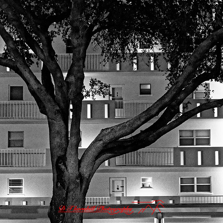 FL-March 2018-017_DxO