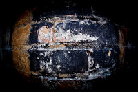 bay_city_images-2010_076