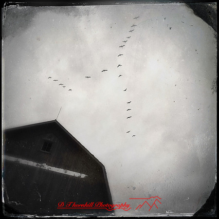 iPhone-2018-buildings rural-007