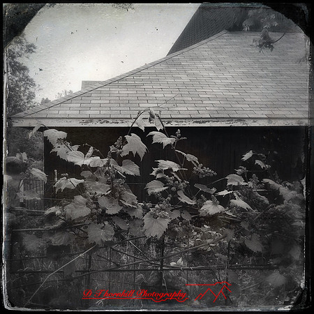 iPhone-2018-buildings rural-008