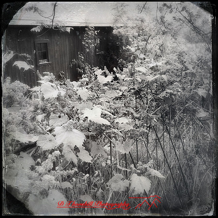iPhone-2018-buildings rural-009