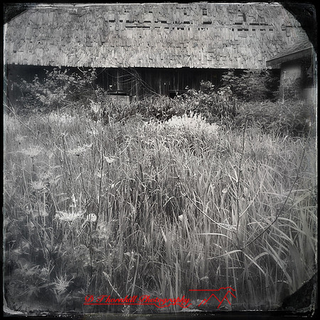 iPhone-2018-buildings rural-003