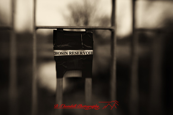 assorted_images-2009_66-nik.jpg