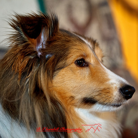 bird_farm-new-years_2013-25