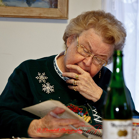 bird_farm-new-years_2013-19