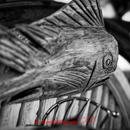 florida - 2020 - 038_DxO