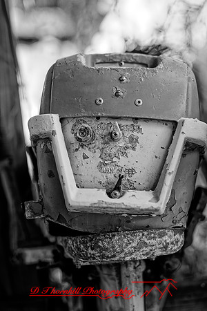 florida - 2020 - 040_DxO
