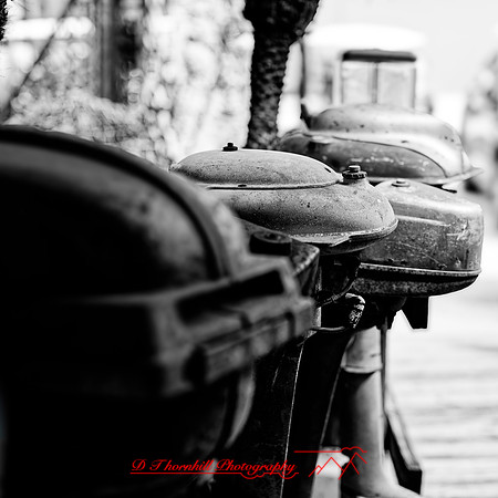 florida - 2020 - 039_DxO