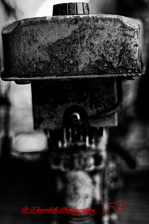 florida - 2020 - 035_DxO