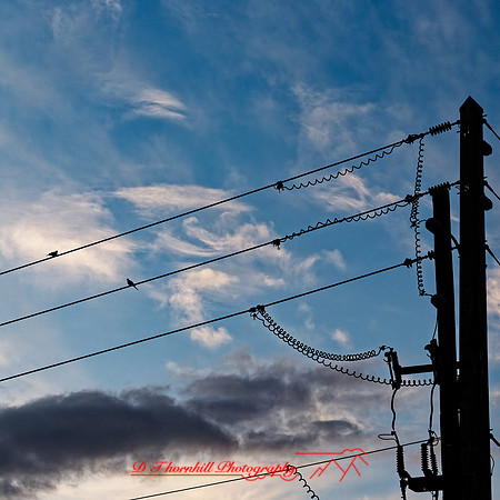 florida - 2020 - 041_DxO