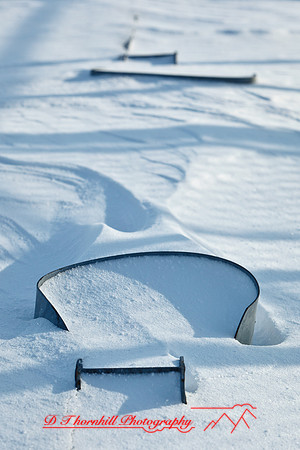 assorted_images-2012-052