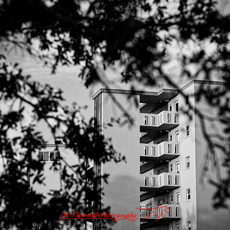 florida - 2020 - 055_DxO