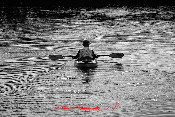 florida - 2020 - 056_DxO