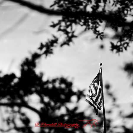 florida - 2020 - 054_DxO
