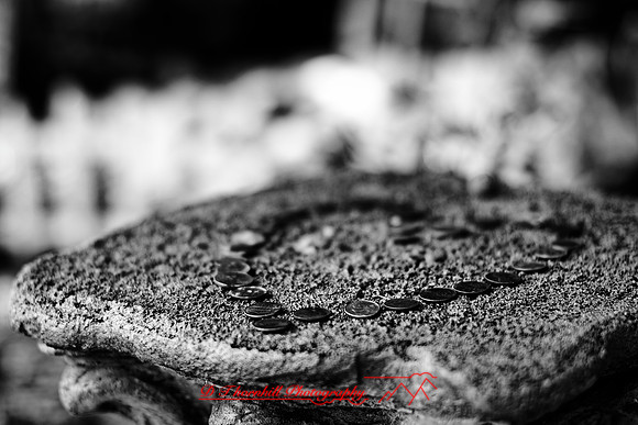 florida - 2020 - 052_DxO