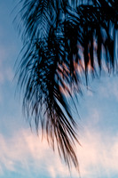 florida - 2020 - 057_DxO