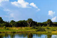 florida - 2020 - 063_DxO