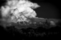 florida - 2020 - 060_DxO
