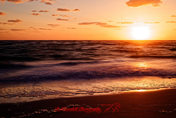 florida - 2022 - spring - 085_DxO