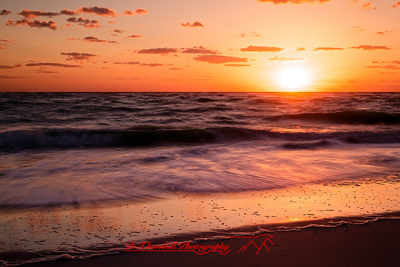 florida - 2022 - spring - 086_DxO