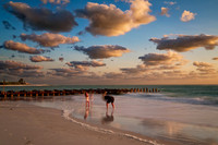 florida - 2022 - spring - 084_DxO