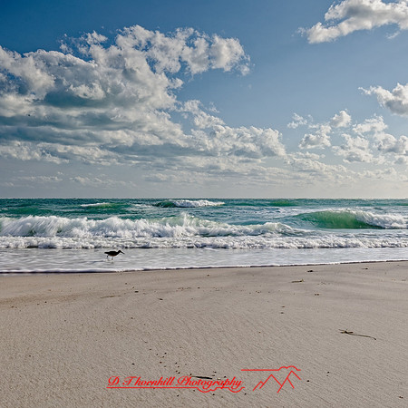 florida - 2022 - spring - 077_DxO