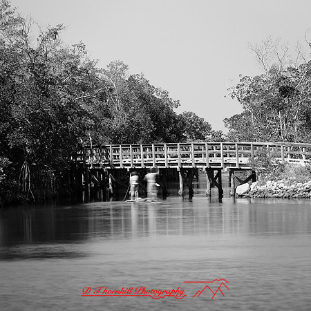 shadow-light-project-florida_2013-12