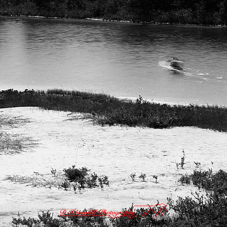 shadow-light-project-florida_2013-14