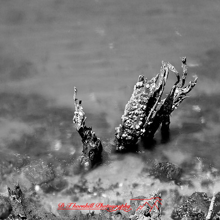 shadow-light-project-florida_2013-18