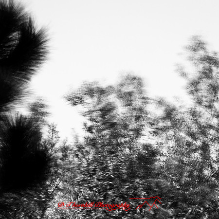 shadow-light-project-florida_2013-22