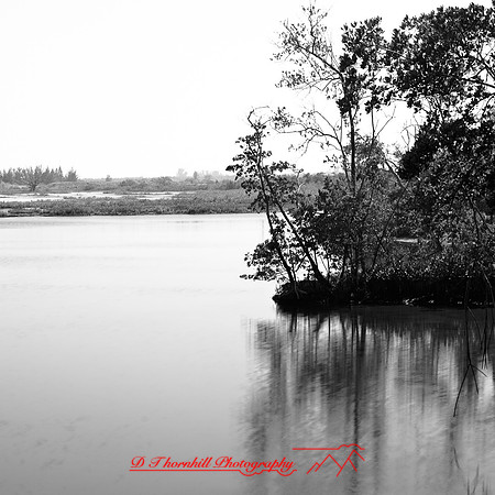 shadow-light-project-florida_2013-23