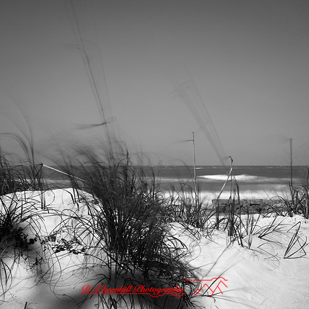 shadow-light-project-florida_2013-27