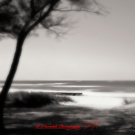 shadow-light-project-florida_2013-28-nas