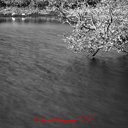 shadow-light-project-florida_2013-30