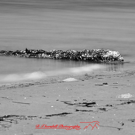 shadow-light-project-florida_2013-31