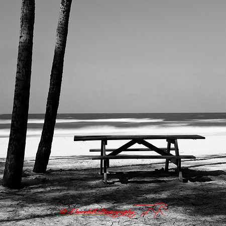 shadow-light-project-florida_2013-33