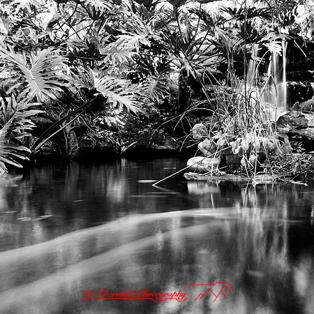 shadow-light-project-florida_2013-35
